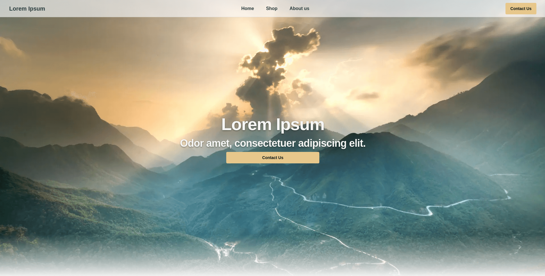 Mock Website